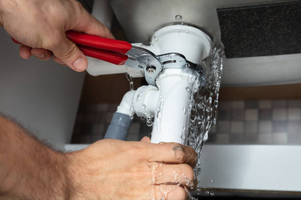 Best Water damage cleanup near me  in Ocala Estates, FL