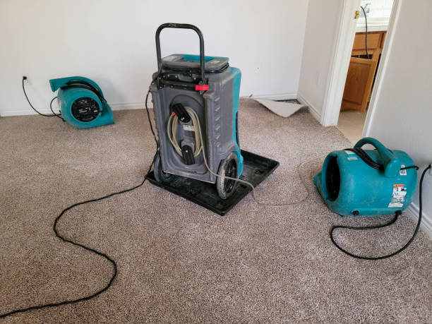 Best Ceiling water damage repair  in Ocala Estates, FL