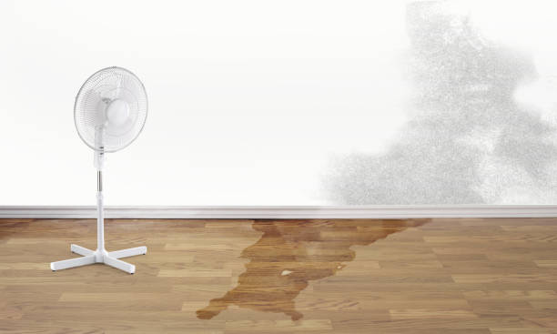 Best Flooded house restoration  in Ocala Estates, FL