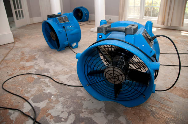 Carpet water damage restoration in Ocala Estates, FL
