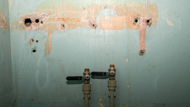 Best Residential water damage restoration  in Ocala Estates, FL