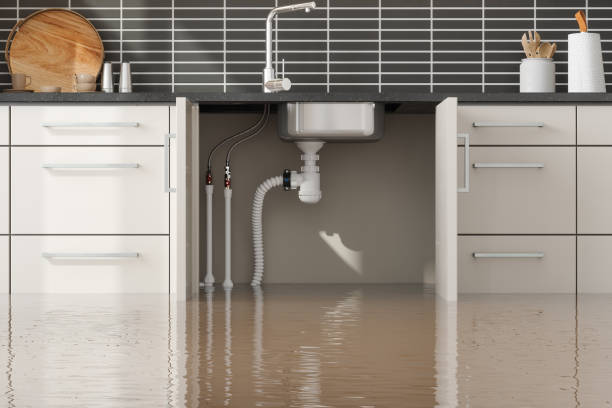 Best Water damage restoration company  in Ocala Estates, FL