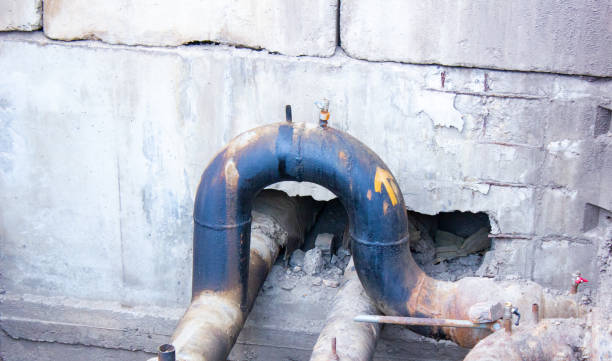 Best Water damage restoration near me  in Ocala Estates, FL