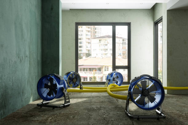 Best Fire Damage Restoration  in Ocala Estates, FL